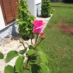 Ferienhaus Balaton Paloznak
