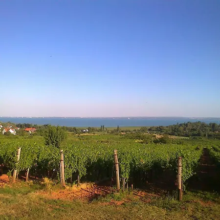 Holiday home Balaton