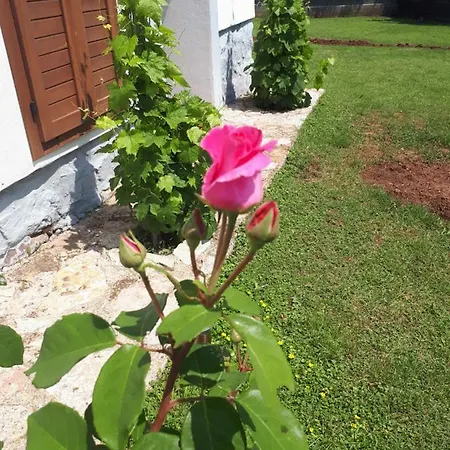 Holiday home Balaton Paloznak